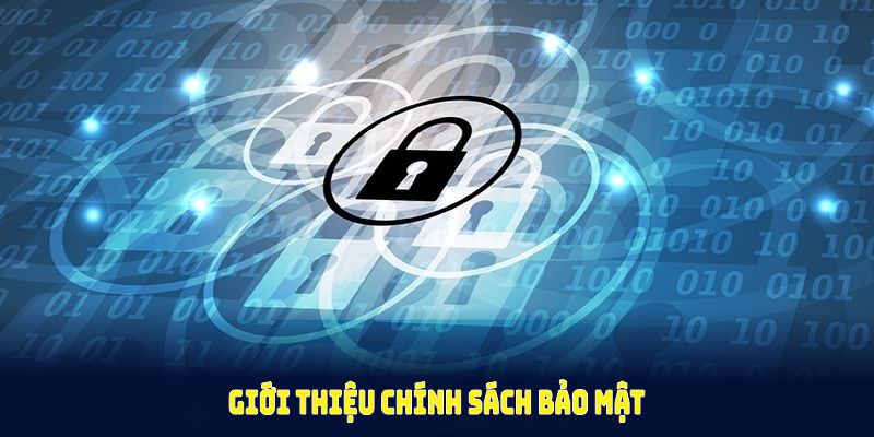 Giới thiệu chính sách bảo mật 8Day