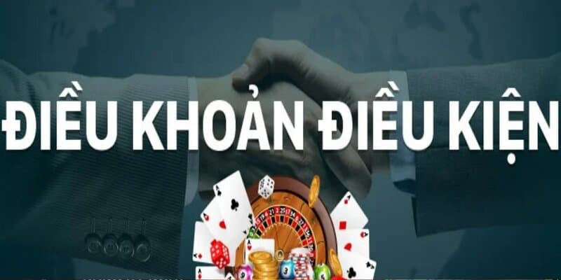 Giới thiệu điều khoản điều kiện