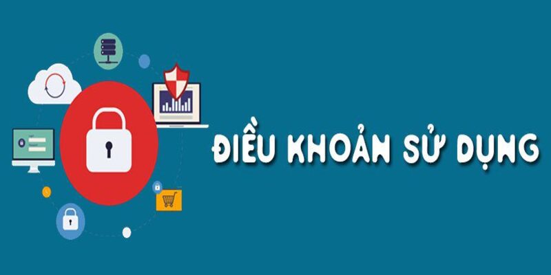 Nội dung điều khoản điều kiện 8DAY