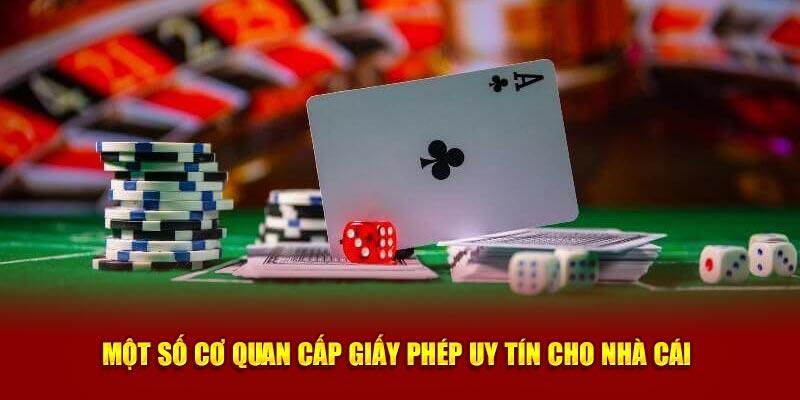 TÌm hiểu chi tiết giấy phép hoạt động 8Day